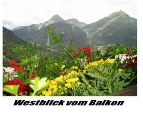 Haus Lifinar - Carmen Juen Appartement Sankt Gallenkirch Buitenkant foto